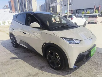 2024 BYD Seagull Glory Edition 305km Freedom Edition, фото 4, лот 10262515