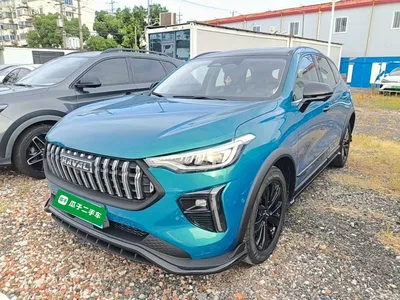 2021 Haval Chitu Boost Edition 1.5T Platinum Rabbit, фото 2, лот 10285649