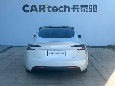 2025 Tesla Model 3 Model Year Facelift Long Range All-Wheel Drive, фото 3, лот 10356409