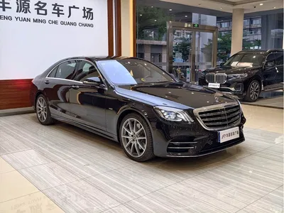 2020 Mercedes-Benz S-Class S 450 L 4MATIC Collector's Version, фото 3, лот 10268434