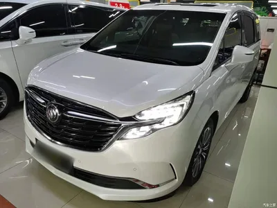 2021 Buick GL8 ES Landlord 653T Luxury, фото 2, лот 10448502