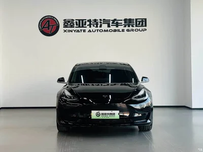 2020 Tesla Model 3 Standard Range Rear-Wheel Drive Upgrade, фото 3, лот 10954730
