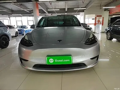 2022 Tesla Model Y Rear-Wheel Drive Version, фото 3, лот 10369939