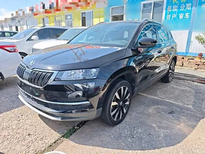 2019 Škoda Karoq TSI280 Smart Drive Luxury Edition China V, фото 2, лот 11501926
