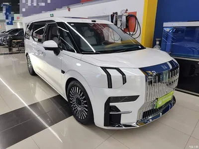 2024 ZEEKR 009 7-Seat Aisle Version 108kWh, фото 4, лот 10890367