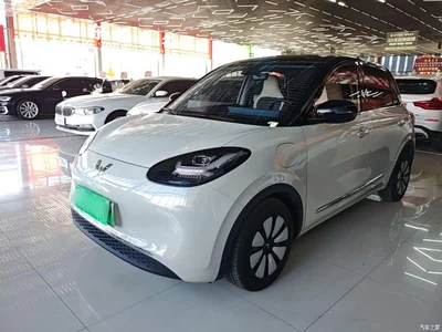 2023 Wuling Motors Wuling Bingo 333km Smart Connectivity Edition, фото 2, лот 10368970