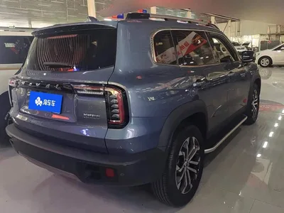 2021 Haval Big Dog 1.5T DCT 2WD Border Collie Edition, фото 3, лот 10359913