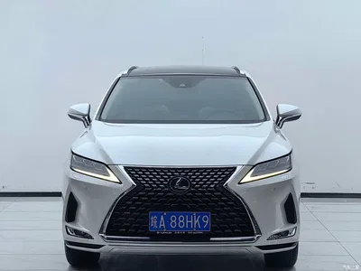 2020 Lexus RX 300 4WD Elegance Edition China VI, фото 2, лот 11243077