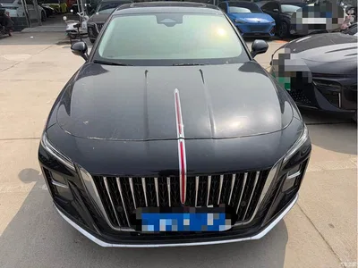 2023 Hongqi H5 2.0T Auto Smart Connect Flag Comfort, фото 2, лот 10288472