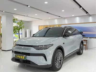 2024 Leapmotor C11 Extended Range 300 Premium Edition, фото 1, лот 10441854