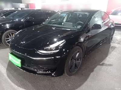 2022 Tesla Model 3 Model Rear-Wheel Drive Version, фото 2, лот 10369756