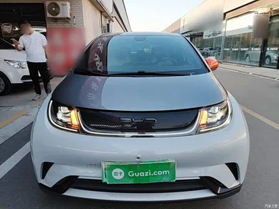 2021 BYD Dolphin Model 405km Fashion Edition, фото 3, лот 10482289
