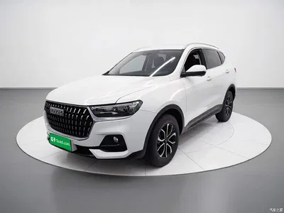 2023 Haval H6 National Trend Edition 1.5T Automatic Urban, фото 2, лот 10999366