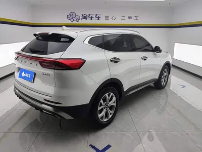 2021 Haval H6 Model National Trend Edition 1.5T Auto Champion, фото 3, лот 10297370