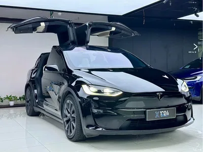 2023 Tesla Model X Dual Motor All-Wheel Drive Edition, фото 2, лот 10355575