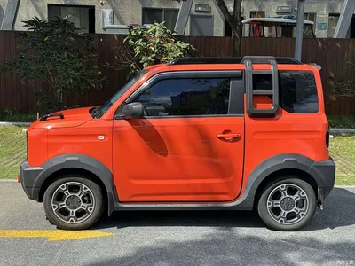 2025 Geely Galaxy Panda Model Year 210km Panda Knight, фото 4, лот 10528418