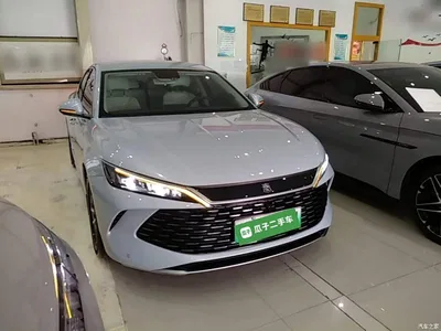 2024 BYD Qin L DM-i 80KM Superior, фото 4, лот 11564511