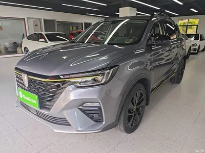 2020 Roewe RX5 PLUS 300TGI Auto Ali Guochao Flagship Edition, фото 1, лот 10340526