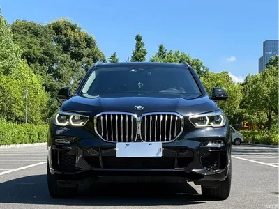2020 BMW X5 (Import) xDrive40i M Sport Package, фото 2, лот 10237734