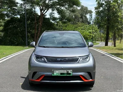 2021 BYD Dolphin Model 405km Fashion Edition, фото 2, лот 10826121