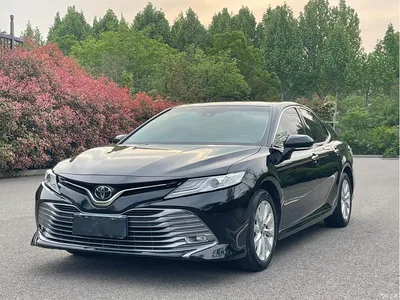 2019 Toyota Camry 2.0G Luxury Edition China VI, фото 1, лот 10300894