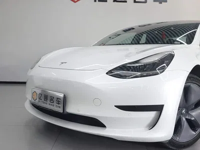 2020 Tesla Model 3 Standard Range Rear-Wheel Drive Upgrade, фото 4, лот 10476215