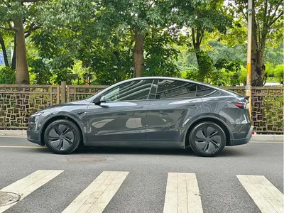 2025 Tesla Model Y Rear-Wheel Drive, фото 3, лот 10398396