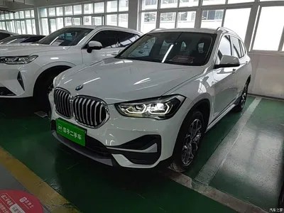 2020 BMW X1 sDrive20Li Premium Edition, фото 1, лот 11448374