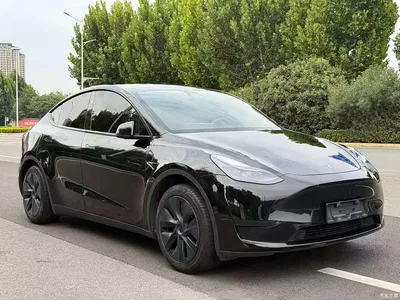 2024 Tesla Model Y Rear-Wheel Drive Version, фото 3, лот 10455246