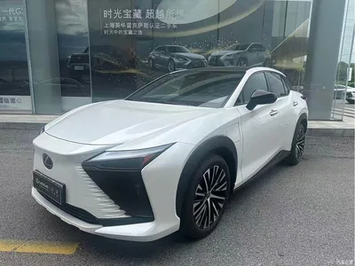 2023 Lexus RZ 450e 4WD Deluxe, фото 1, лот 10848916