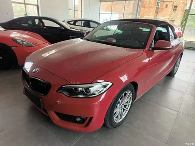 2015 BMW 2 Series (Import) 218i Convertible Coupe, фото 2, лот 11545842