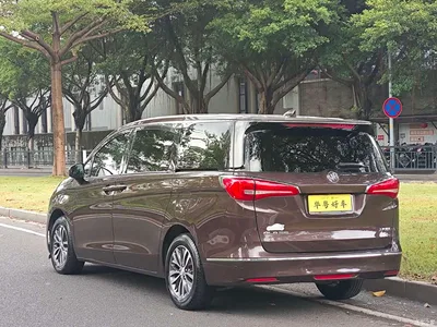 2018 Buick GL8, фото 4, лот 10242568