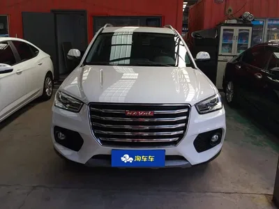 2017 Haval H6 Coupe Red Label 2.0T Automatic 2WD Elite, фото 2, лот 10448315