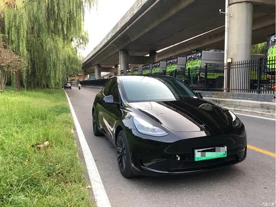 2022 Tesla Model Y Facelift Rear-Wheel Drive Version, фото 3, лот 10371397