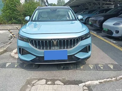 2021 Voyah Auto VOYAH FREE AWD Standard Range Extender Exclusive Luxury Package, фото 2, лот 11134293
