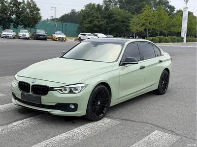 2018 BMW 3 Series 320Li Leading Luxury Package, фото 3, лот 10905001