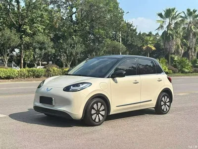 2025 Wuling Motors Wuling Bingo Model 333km Joy Edition, фото 1, лот 10372107