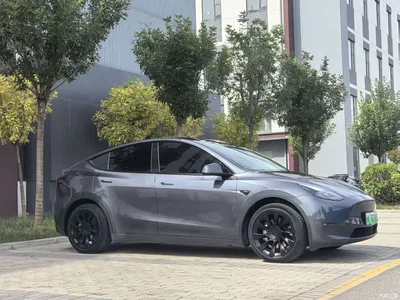 2023 Tesla Model Y Long Range All-Wheel Drive Edition, фото 2, лот 11397716