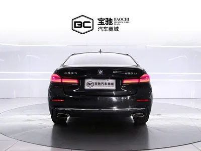 2023 BMW 5 Series 530Li Leading Luxury Package, фото 4, лот 11460240