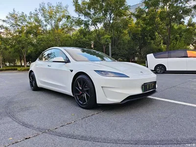 2025 Tesla Model 3 Model Rear-Wheel Drive Edition, фото 2, лот 10404618