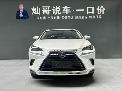 2020 Lexus NX 300h FWD F Sport China VI, фото 2, лот 11546156