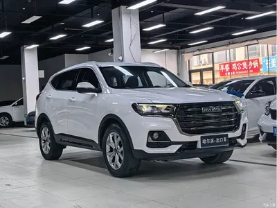 2021 Haval H6 Model National Trend Edition 1.5T Auto Champion, фото 3, лот 10298085