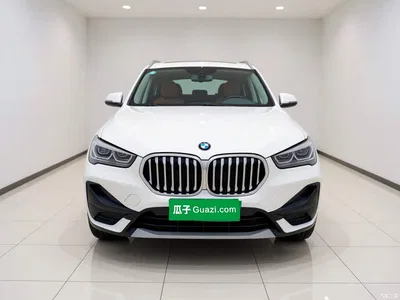 2020 BMW X1 sDrive25Li Leading Model, фото 2, лот 10594384