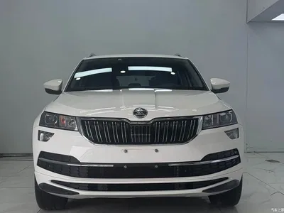 2022 Škoda Karoq TSI280 Luxury Edition, фото 2, лот 10348982