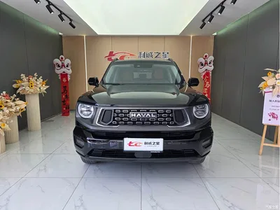 2023 Haval Da Gou 2nd Gen 2.0T 2WD Trendy Off-road Edition Plus, фото 2, лот 10297615