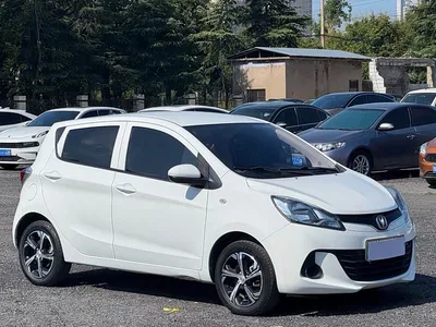 2021 Changan Benben E-Star National Edition Delight (LFP 31.18kWh), фото 3, лот 10251334