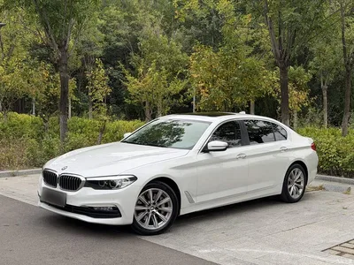 2018 BMW 5 Series 528Li Launch Special Edition, фото 1, лот 10763896