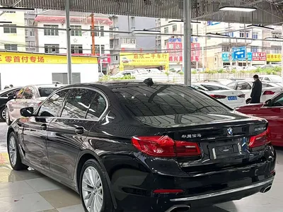 2019 BMW 5 Series New Energy Facelift 530Le Luxury Package, фото 4, лот 10474147