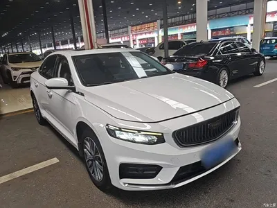 2021 Geely Xing Rui 2.0TD Luxury, фото 4, лот 10358690