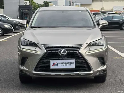 2020 Lexus NX 200 FWD Sharp Edition China VI, фото 2, лот 10672284